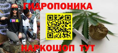 стафф Коммунар