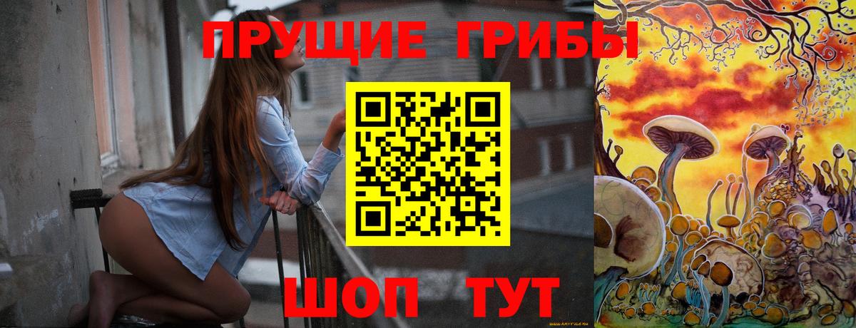Тихорецк  Псилоцибиновые грибы ЛСД  Вход с VPN  Галлюциногенные грибы мицелий 