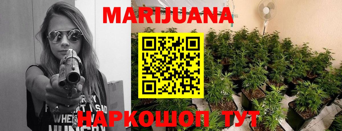 Бошки Шишки семена Тихорецк